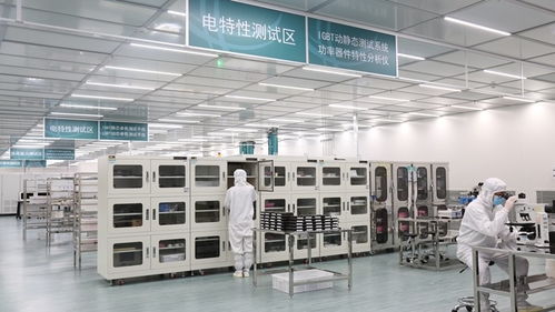 張家口的風(fēng)，點(diǎn)亮北京的燈——海歸青年在綠色能源浪潮中顯身手